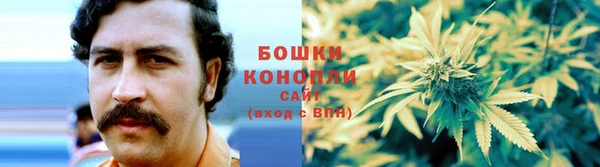метамфетамин Ельня