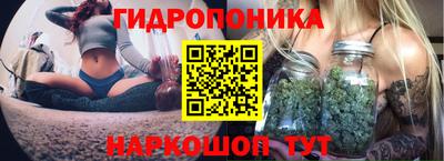 альфа пвп Рыбинск