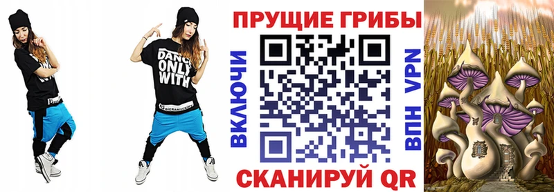Псилоцибиновые грибы Psilocybe Салават